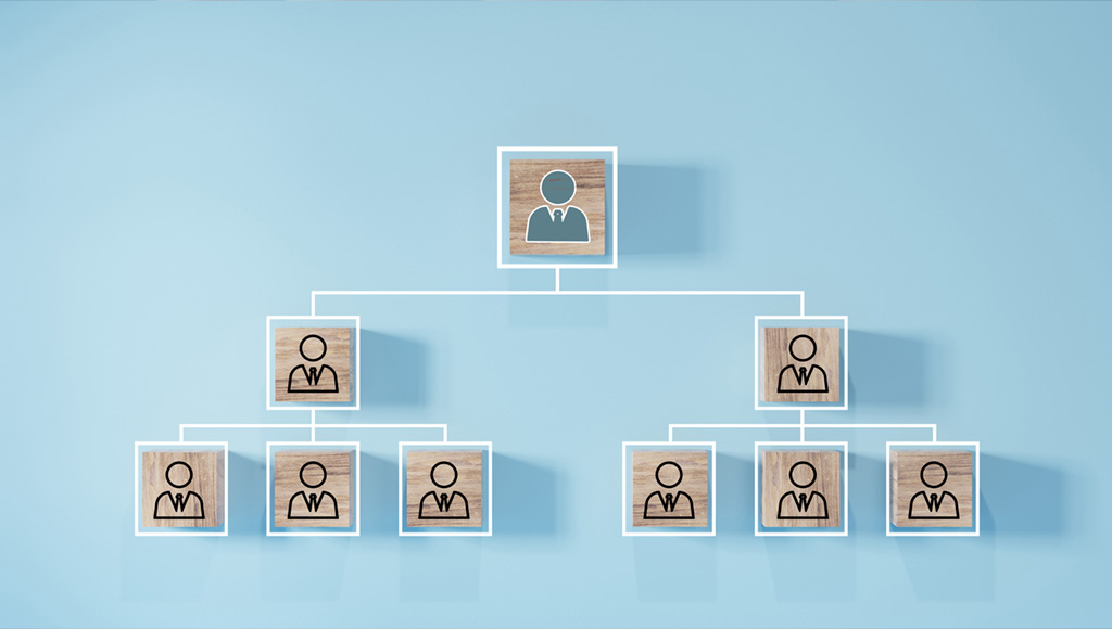 Cơ cấu quản lý và điều hành